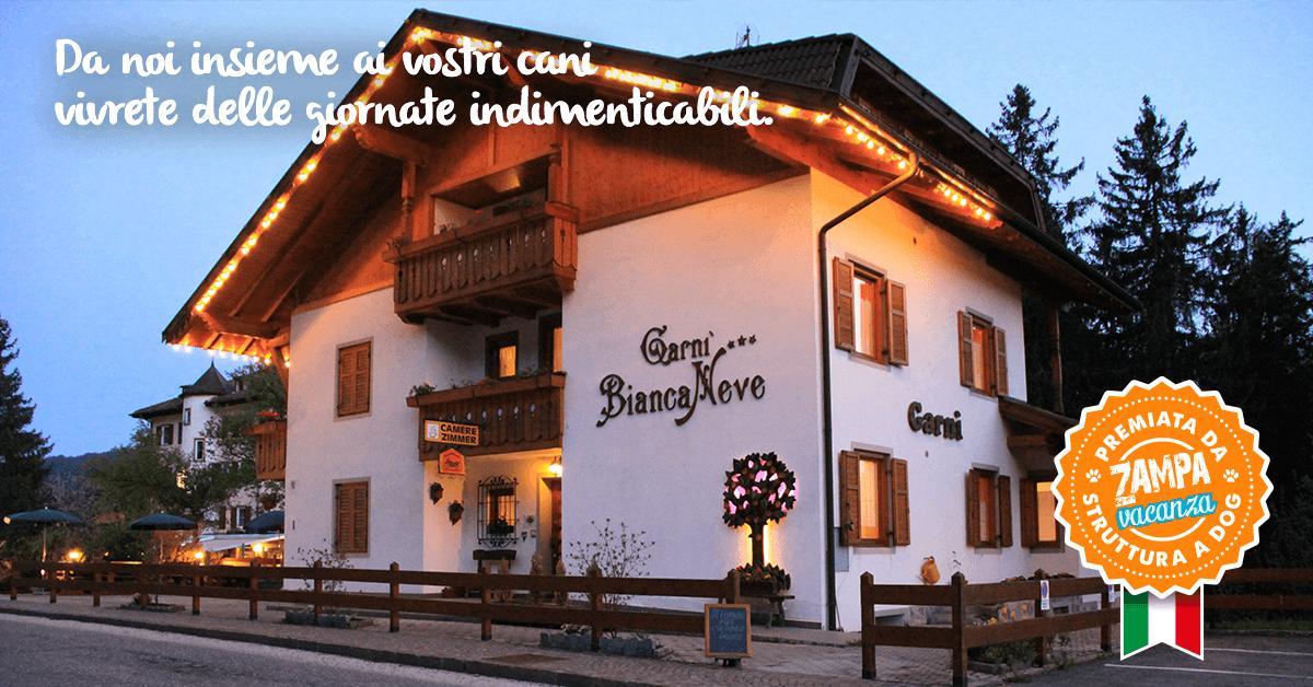 Garni Biancaneve Ruffre-mendola 3*